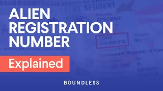 Alien Registration Number, Explained