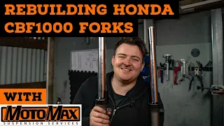 Rebuilding CBF1000 Forks | MotoMaxSuspension