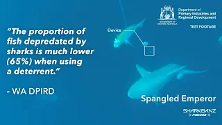 Sharkbanz Fishing WA Government (DPIRD) Shark Deterrent Product Testing Results (2021) - Highlights