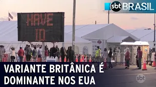 Variante britânica do novo coronavírus é dominante nos EUA | SBT Brasil (09/04/21)