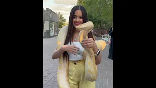 jannat zubair in apna bana le song 🥰😍| jannat zubair| #jannatzubair #shorts #jannat #viral