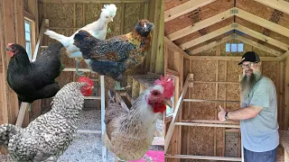 DIY 🐓 RAISABLE Chicken ROOSTING BAR | MUST have for YOUR CHICKEN COOP