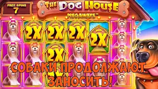 ИГРАЮ ВО ВСЕ ДОГ ХАУСЫ 4 / ОГРОМНЫЙ ЗАНОС В DOG HOUSE MEGAWAYS ПОСЛЕДНЕЙ БОНУСКОЙ!