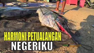 HARMONI PETUALANGAN NEGERIKU | JEJAK PETUALANG (25/08/20)