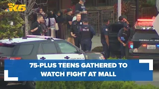 75-plus teens gathered around fight at Southcenter Mall in Tukwila Sunday, prompting evacuation