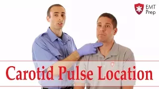 How to Find the Carotid Pulse - EMTprep.com