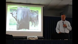 Selection of the Bull and Cow for Herd Improvement