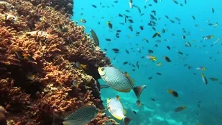 Naturaleza hermosa - Océano Pacífico