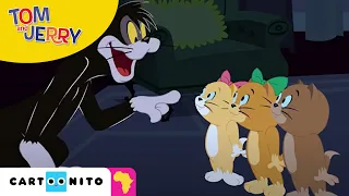 Tom and Jerry: Triple Trouble | Cartoonito Africa