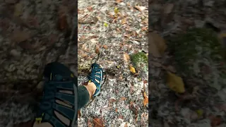 Keen men’s Newport H2 sandals great for hiking