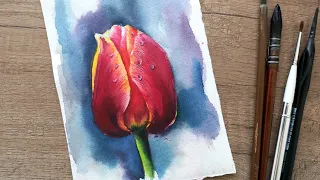 WE DRAW A TULIP WITH WATERCOLOR. Illustration. Drawing for beginners.