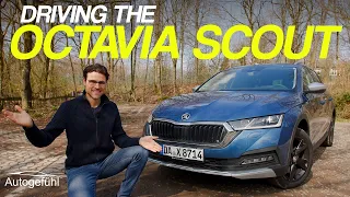 SUV? Crossover estate party! with the Skoda Octavia Scout REVIEW