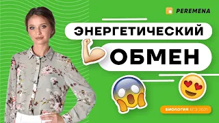 Энергетический обмен | ЕГЭ БИОЛОГИЯ 2021 | PEREMENA