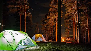 Campfire Crackling and Night Camping Sounds Ambience 5 Hours / White Noise Nature Relaxing & Sleep