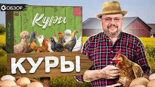 КУРЫ - ОБЗОР настольной игры Hens от Geek Media