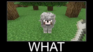 Minecraft wait what meme part 104 realistic dog