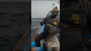 Deep Sea Fishing Videos #fish #fishing #fishingvideo