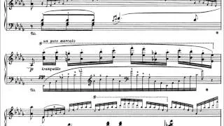 Liszt: Concert Paraphrase on Verdi's Rigoletto (Michel Dalberto)
