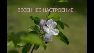 весеннее настроение