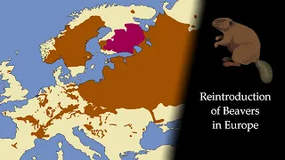 Reintroduction of Beavers in Europe: Every Year (1900-2021)