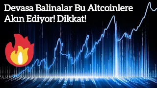 Devasa Balinalar Bu Altcoinlere Akın Ediyor! Dikkat! | Kripto Haber.