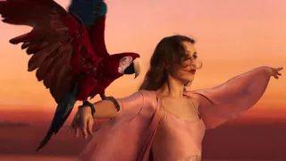 Joanna Newsom - Waltz Of The 101st Lightborne (2015)