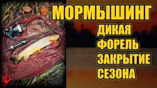 МОРМЫШИНГ  ДИКАЯ ФОРЕЛЬ.. ЗАКРЫТИЕ СЕЗОНА