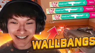 SINATRAA IS THE MASTER OF WALLBANGS ???