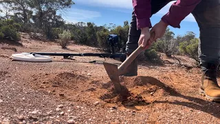 Big Gold Nugget Found in a patch! Tested the new 7000, Watch till the end!