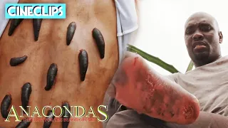Leeches And Spiders | Anacondas: The Hunt For The Blood Orchid