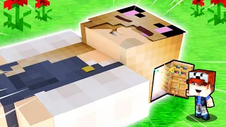 CO JEST W ŚRODKU GŁOWY BELLI W MINECRAFT? | Vito i Bella