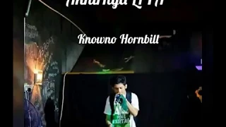 Akhirnya Liya ( Part 3 ) - Knowno Hornbill