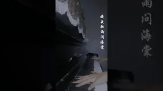 晚夜微雨问海棠 钢琴版 piano cover