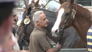 Siena Prepares For The Palio