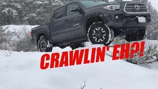 CRAWL CONTROL WORKED! | 2017 Tacoma TRD OffRoad