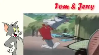 Tom and Jerry   Classic Collection His Mouse Friday HQ