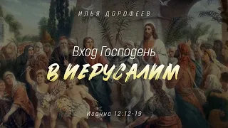 Вход Господень в Иерусалим. Иоанна 12:12-19; Илья Дорофеев