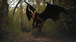 Scary Jersey Devil Sightings That PROVE It's Among Us