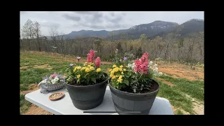 Spring Flower haul and decorate with me 2024