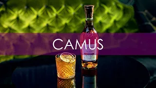 Camus кто ты?Интересные факты о коньяке Camus!#коньяк #камю #история