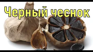 Черный чеснок. Мой эксперимент