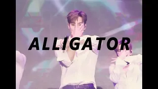 190519 AFMF :: Alligator 셔누FOCUS (MONSTAX SHOWNU FANCAM)