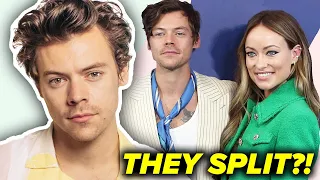 The REAL Reason Harry Styles & Olivia Wilde SPLIT!