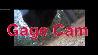 My Bigfoot Story Ep. 99 - Gage Cam