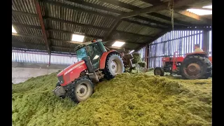 Cumbrian Silage 2023. Claas Jaguar & MF team with the 135 rolling the pit.
