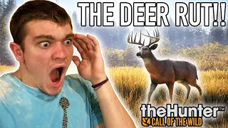 THE DEER RUT! Hunter Call of the Wild Pt.49 - Kendall Gray