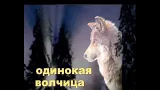 Одинокая волчица     Александр Добронравов