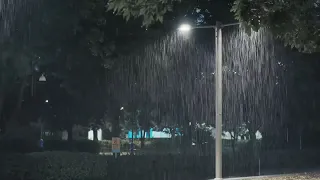 DEEP SLEEP EASILY IN 3 MINUTES   Strong Heavy Rain on Forest Park at Night