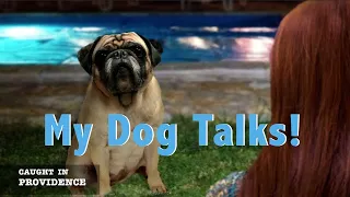 My Dog Talks!