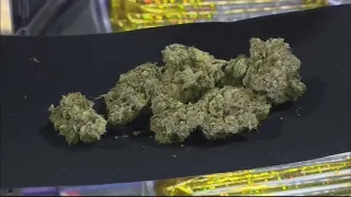 Ohio’s Division of Cannabis proposes new rules for recreational marijuana dispensaries